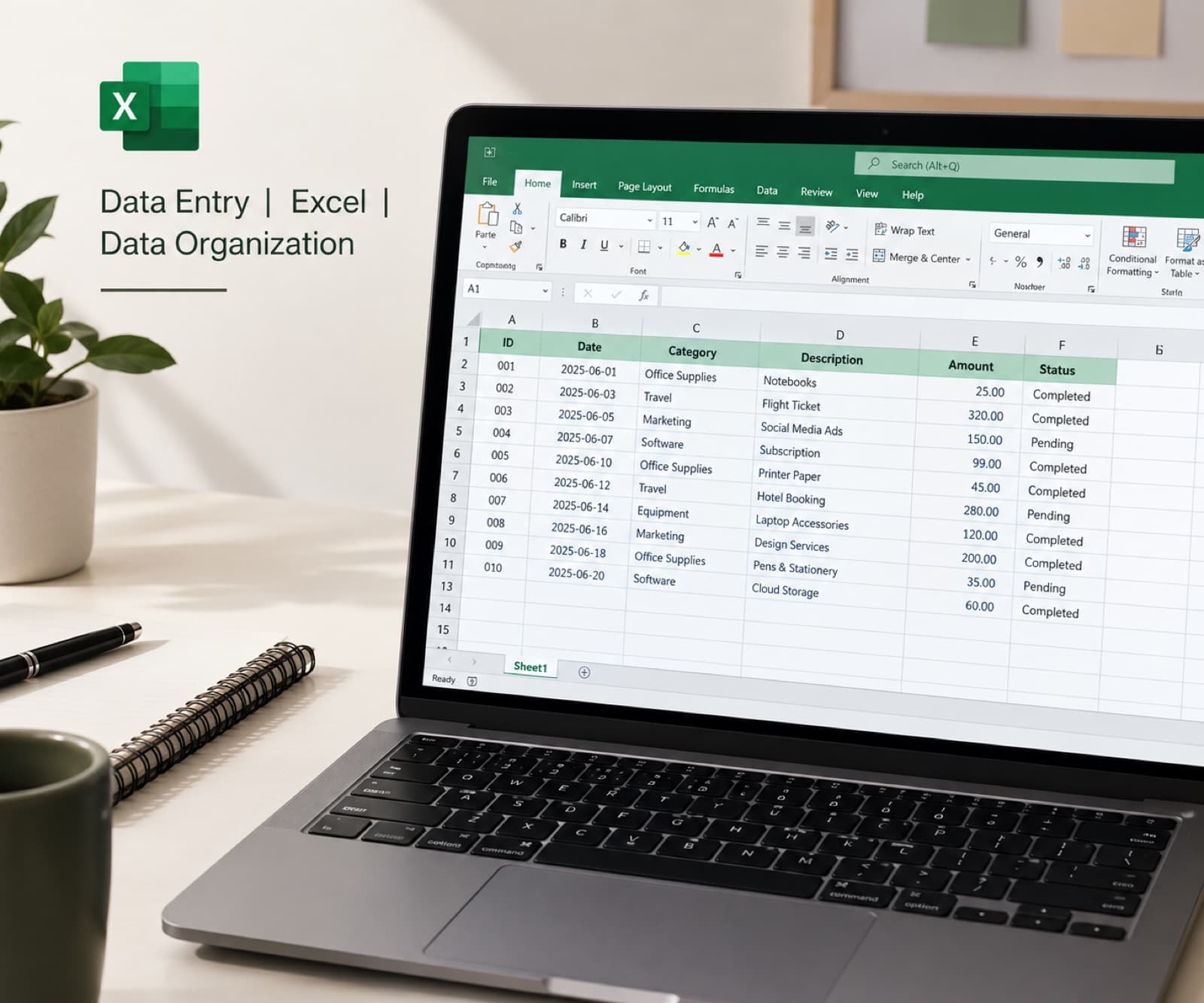 I will do accurate data entry and Excel tasks