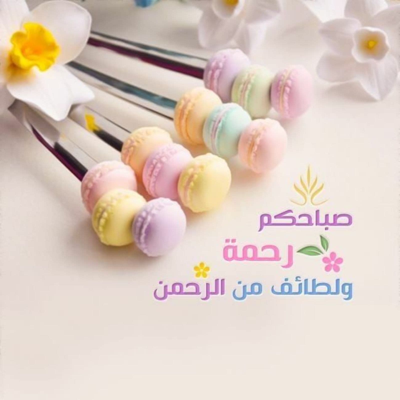 حل مشكال الحياة
