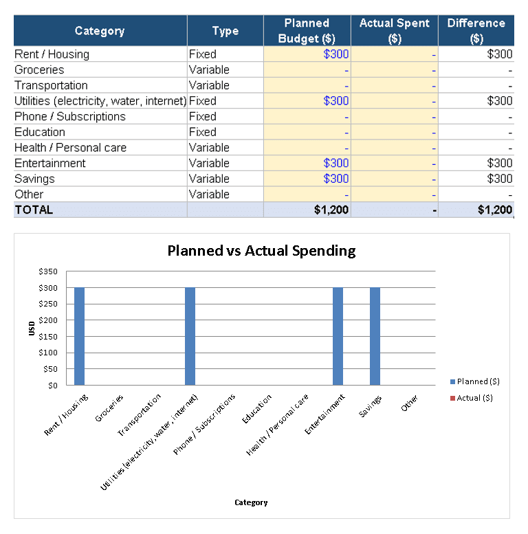 Custom Excel Budget Tracker