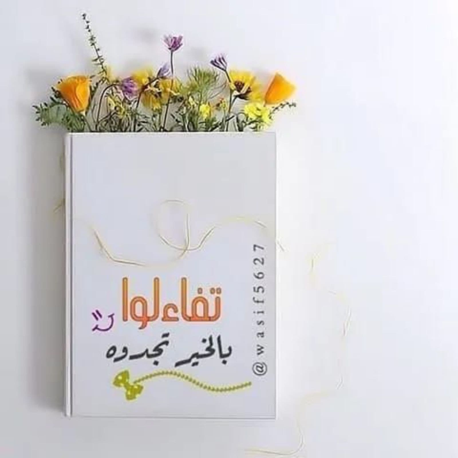 Professional TikTok & Social Media Video Design