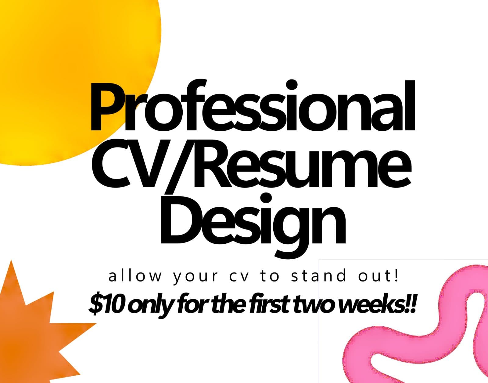 Professional CV / Resume Design