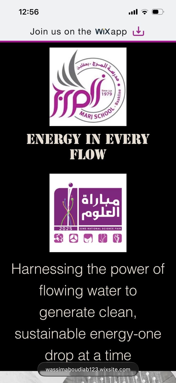 Logo/website designer