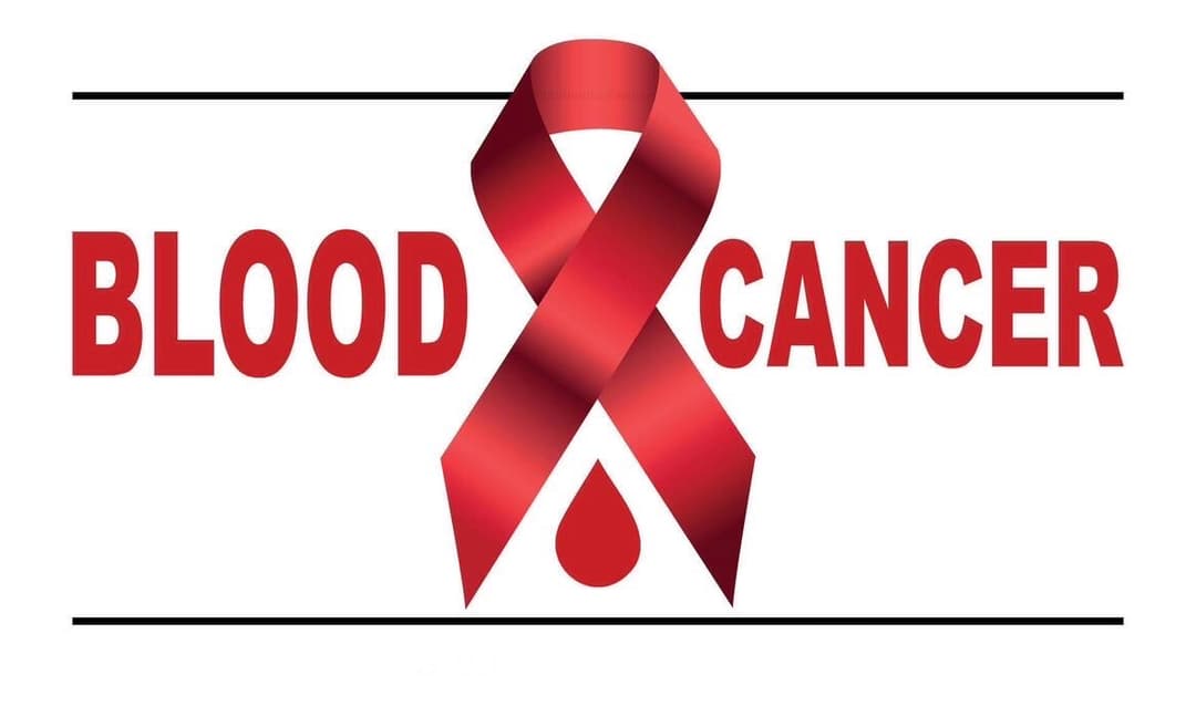 Presentation about blood cancer and fully designed website( but still not published)